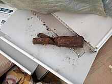 Рабочие нашли на стройке гранату с сорванной чекой