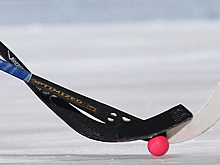 Исполком FIB изучит рекомендации МОК по допуску россиян на турниры