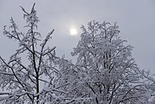 Столичный регион будет находиться в самом центре небольшого циклона