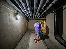СМИ: в Тульской области медики забили до смерти ветерана первой чеченской войны
