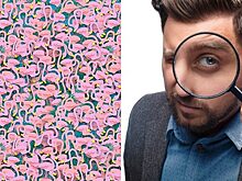 На картинке есть балерина, но, чтобы её найти, придётся приложить усилия