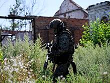 В зоне СВО высказались о влиянии переговоров на ситуацию на фронте