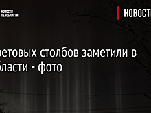 Лес световых столбов заметили в Ленобласти - фото