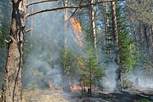 В Челябинской области с 14 ноября завершен пожароопасный сезон 2022 года