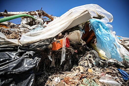 Цифровая карта мусорных полигонов появится в России