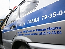 Омские росгвардейцы поймали пьяного водителя
