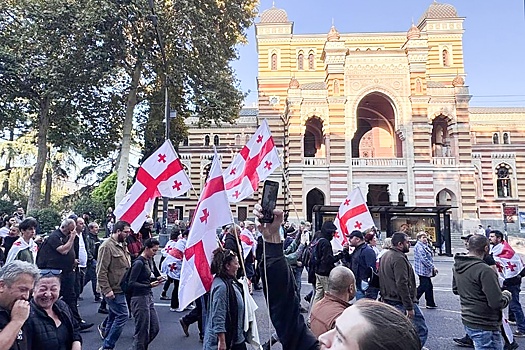 Протестующие в Тбилиси ворвались во двор президентского дворца