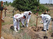 Более 500 тел могут оставаться в массовом захоронении в Северодонецке