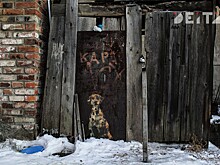 Почти год добивается прокуратура Приморья новых квартир для жильцов рассыпающегося дома