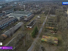 Место массового захоронения жертв нацистов пытаются спасти от застройки