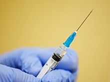 В Волгоградской области от гриппа вакцинировались 1,3 млн человек