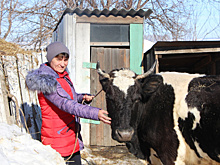 В Кошкинском районе около 30 семей преодолели жизненные трудности благодаря соцконтракту