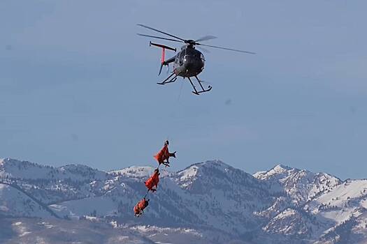 Летающие по небу олени попали на видео