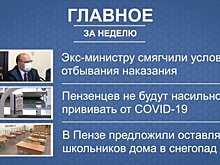 Редакция PenzaInform.ru подготовила дайджест важных новостей недели