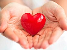 Почему сердце может медленно работать