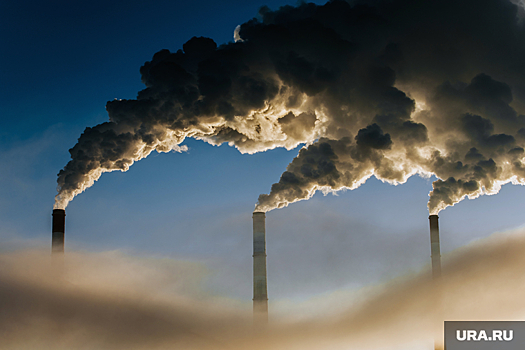 Токсиколог: 7 млн людей в год умирает из-за загрязненного воздуха