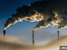 Токсиколог: 7 млн людей в год умирает из-за загрязненного воздуха
