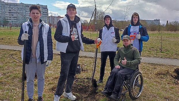 50 саженцев рябины и клена высадили вологжане во Фрязиновском парке