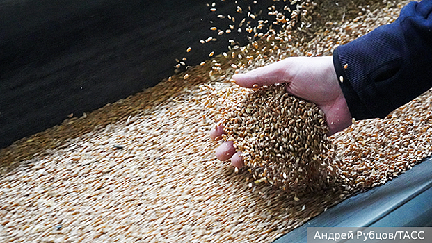 Россия прекращает экспорт пшеницы ради контроля цен на хлеб