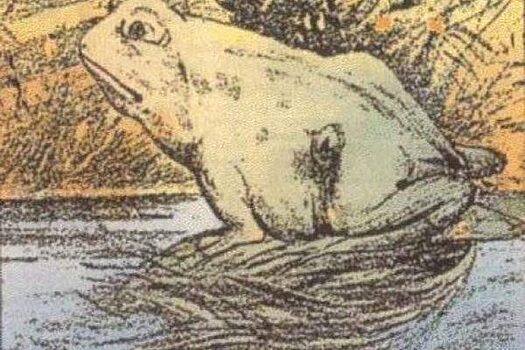 На картинке присутствует лошадь, но отыскать ее может не каждый