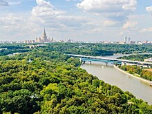Библиотека №183 им. Данте Алигьери проведет экскурсию на Воробьевы горы 10 июля