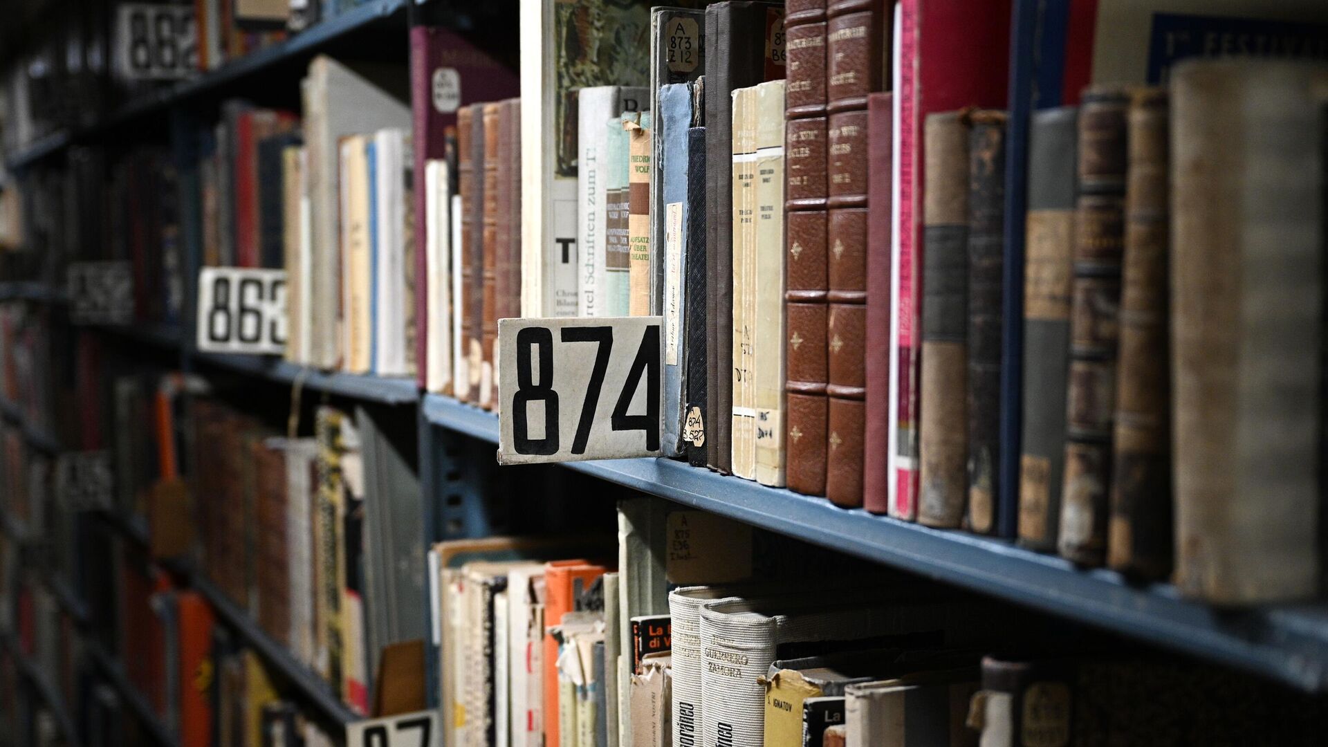 В Подмосковье откроют ещё четыре библиотеки после модернизации