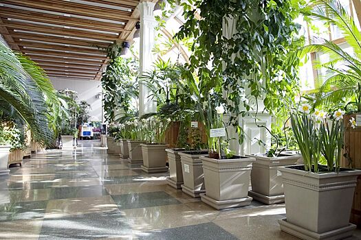 Экзотические цветы и зеленые деревья: где почувствовать лето в зимней Москве