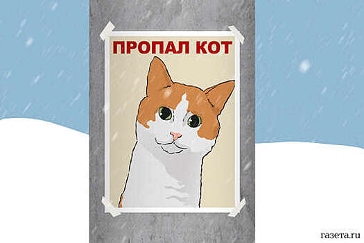 Фигурист Ветлугин заявил, что кота Твикса не стоило выкидывать из поезда в -30℃