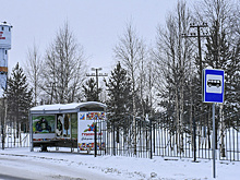 Андрей Бандурко отчитался об успехах Губкинского за 2025 год