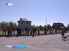 В поселке Взморье украдены деревья посаженные в рамках экологической акции