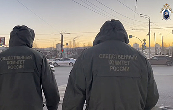 Что известно о наезде автомобиля на пешеходов в Челябинске