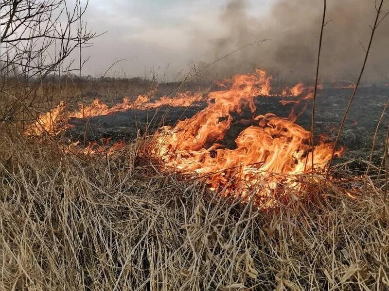 Степной пожар развернулся рядом с Забайкальском