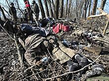 Опубликованы фото с вещами ликвидированной на подступах к России украино-колумбийской ДРГ