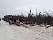 Большегруз с древесиной опрокинулся на Вологодчине, есть пострадавшие