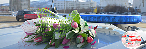 В Магаданской области госавтоинспекторы присоединились к традиционной акции «Цветы для автоледи»