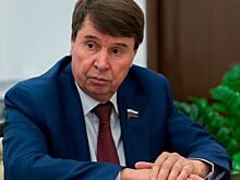 Сенатор Сергей Цеков предлагает снять ограничения на въезд граждан Российской Федерации на территорию ДНР и ЛНР