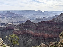 В Большом Каньоне найдены тысячи окаменелостей древних животных