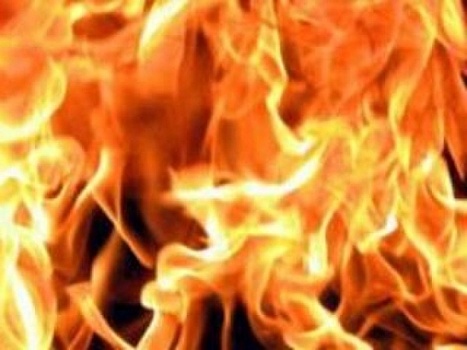 Кузбасские полицейские потушили загоревшуюся на трассе Skoda