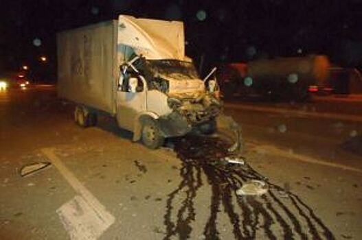 Под Рязанью грузовая «Газель» влетела в остановившийся большегруз DAF