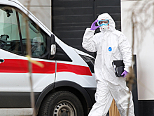 Оценена угроза вируса Марбург для России