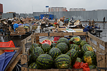 Арбуз не при чём. Причины смертельного отравления в московской семье под вопросом