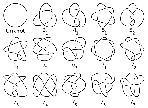«Здесь еще работы на годы»: как узлы и графы привели математиков к престижной награде