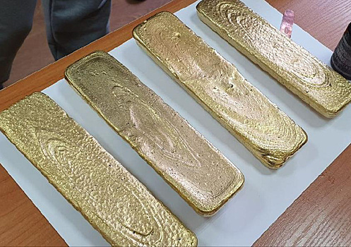 Нелегальный золотодобытчик из Приамурья насобирал более 23 кг золота