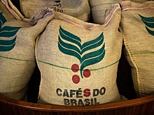 Почему будет дорожать кофе в 2025 году