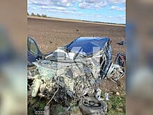 Выехавший на встречку водитель погиб в Выселковском районе