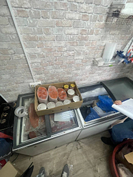 На Сахалине сотрудниками полиции пресечена деятельность преступной группы, осуществлявшей  производство, хранение, в целях сбыта немаркированной рыбной продукции в особо крупном размере