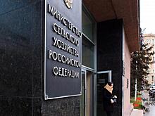 Минсельхоз признал PepsiCo и Coca-Cola системообразующими