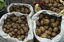 Названы признаки опасного для жизни картофеля