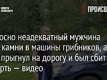 Под Тосно неадекватный мужчина кидал камни в машины грибников, а затем прыгнул на дорогу и был сбит насмерть — видео