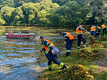 В Севастополе начнется комплексная очистка водоемов в 2026-2027 годах